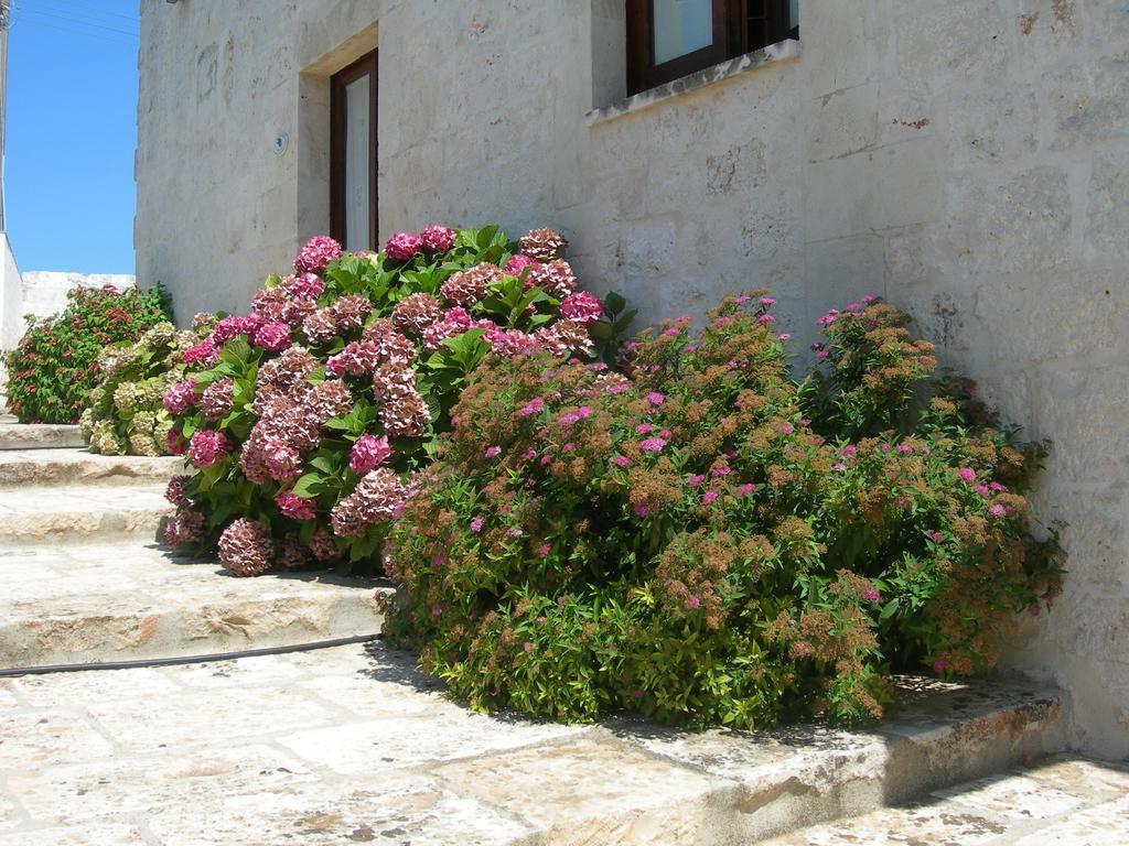 Masseria Montecchie チェーリエ・メッサーピカ エクステリア 写真